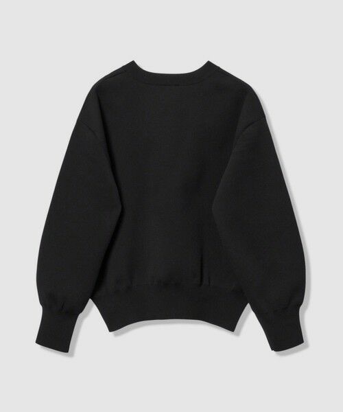 ANAYI / アナイ ニット・セーター | ボリュームショルダーVプルオーバー | 詳細23