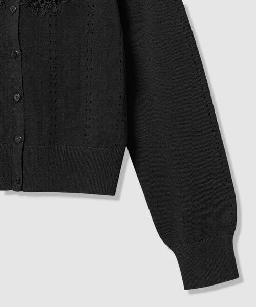 ANAYI / アナイ カーディガン・ボレロ | 立体フラワーレースV カーディガン | 詳細26