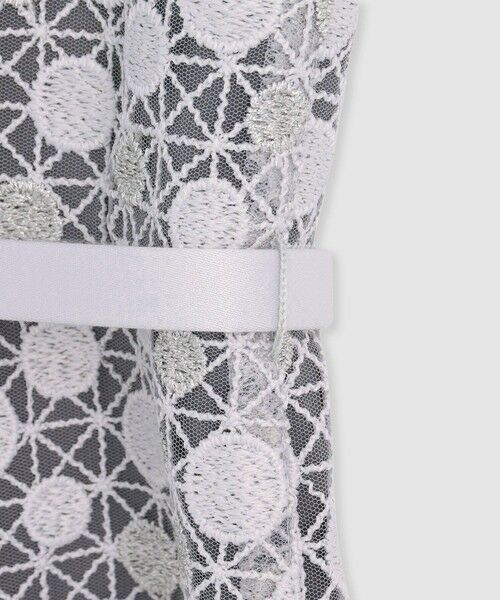 ANAYI / アナイ ドレス | ドットチュールボートネックフレアワンピース | 詳細13