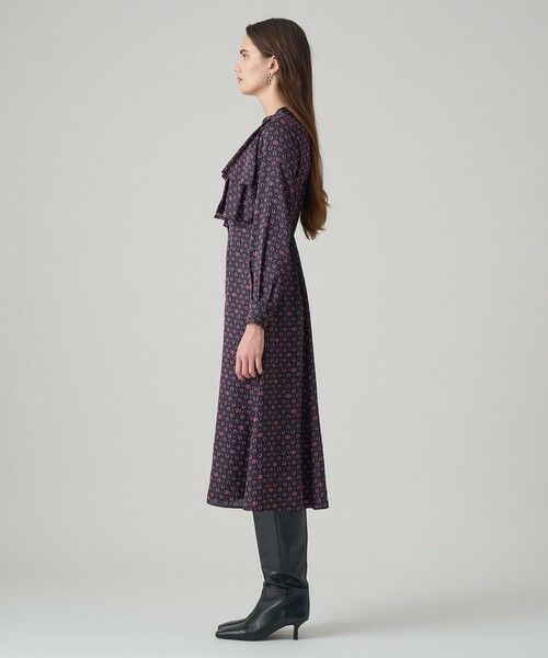 ANAYI / アナイ ロング・マキシ丈ワンピース | ホースシュープリントフリルワンピース | 詳細2