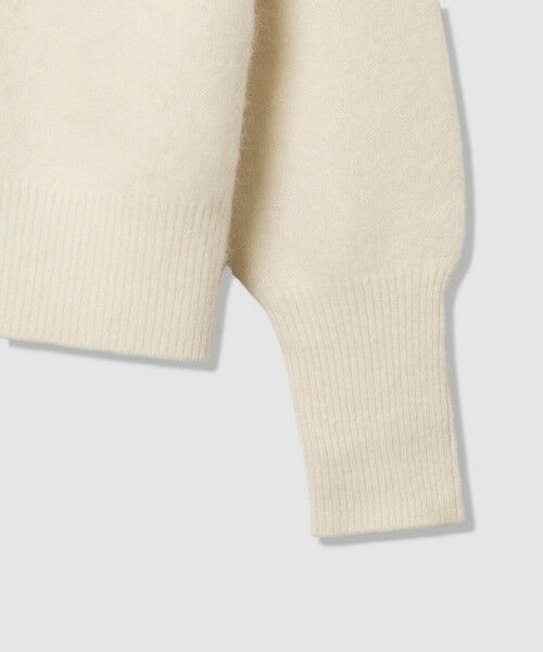 ANAYI / アナイ カーディガン・ボレロ | フラッフィジップアップカーディガン | 詳細11