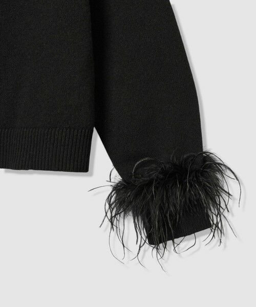 ANAYI / アナイ ニット・セーター | フェザーバングル プルオーバー | 詳細25
