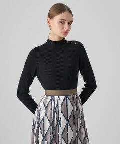 ANAYI / アナイ ニット・セーター | メリノワイドリブハイネック プルオーバー