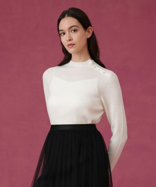 ANAYI / アナイ ニット・セーター | メリノワイドリブハイネック プルオーバー | 詳細1