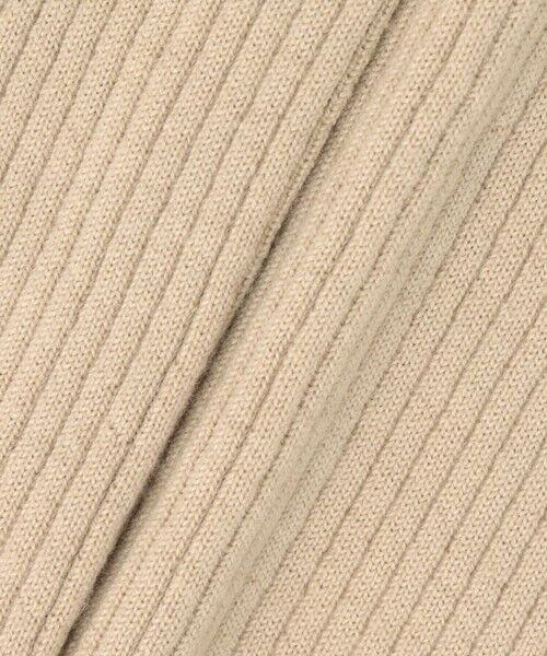 ANAYI / アナイ ニット・セーター | メリノワイドリブハイネック プルオーバー | 詳細19