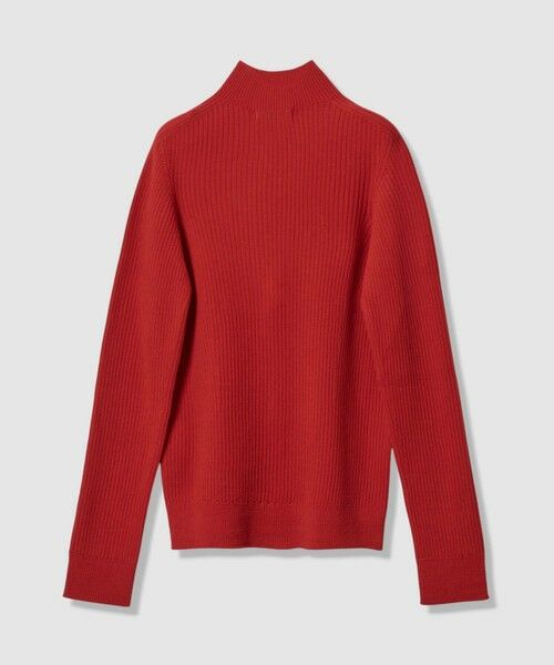 ANAYI / アナイ ニット・セーター | メリノワイドリブハイネック プルオーバー | 詳細24