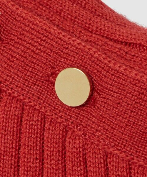 ANAYI / アナイ ニット・セーター | メリノワイドリブハイネック プルオーバー | 詳細27