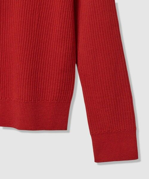 ANAYI / アナイ ニット・セーター | メリノワイドリブハイネック プルオーバー | 詳細28