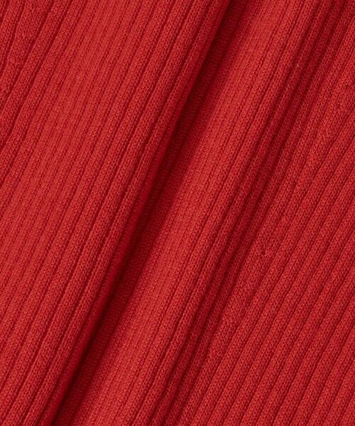 ANAYI / アナイ ニット・セーター | メリノワイドリブハイネック プルオーバー | 詳細29