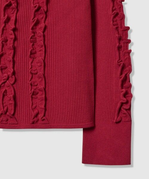 ANAYI / アナイ ニット・セーター | ウェービーフリルリブ プルオーバー | 詳細18