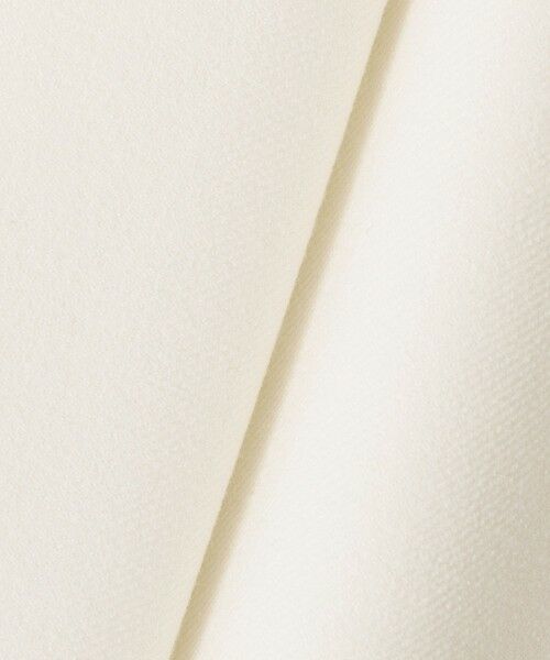 ANAYI / アナイ チノ・ワークパンツ | 裏起毛ツイル両ボタンパンツ | 詳細6