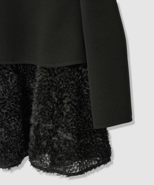 ANAYI / アナイ シャツ・ブラウス | テープチュール刺繍レイヤード プルオーバー | 詳細19