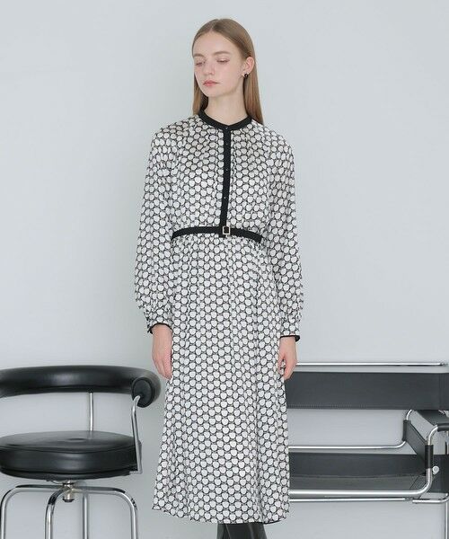 ANAYI/アナイ メーレプリントラグランバイカラー ワンピース white mix (08) 34