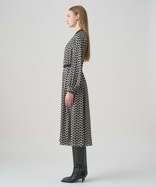 ANAYI / アナイ ロング・マキシ丈ワンピース | メーレプリントラグランバイカラー ワンピース | 詳細13