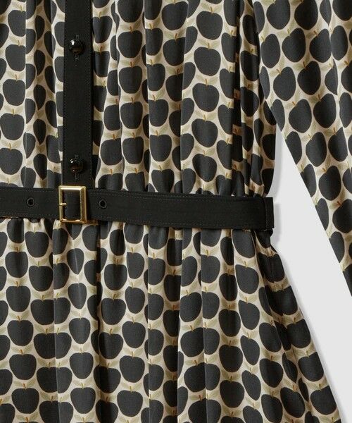 ANAYI / アナイ ロング・マキシ丈ワンピース | メーレプリントラグランバイカラー ワンピース | 詳細23