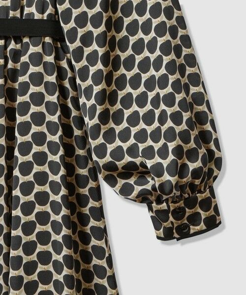 ANAYI / アナイ ロング・マキシ丈ワンピース | メーレプリントラグランバイカラー ワンピース | 詳細24