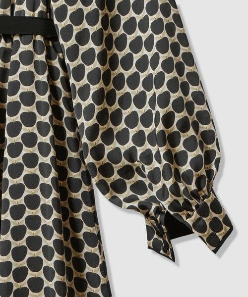 ANAYI / アナイ ロング・マキシ丈ワンピース | メーレプリントラグランバイカラー ワンピース | 詳細25