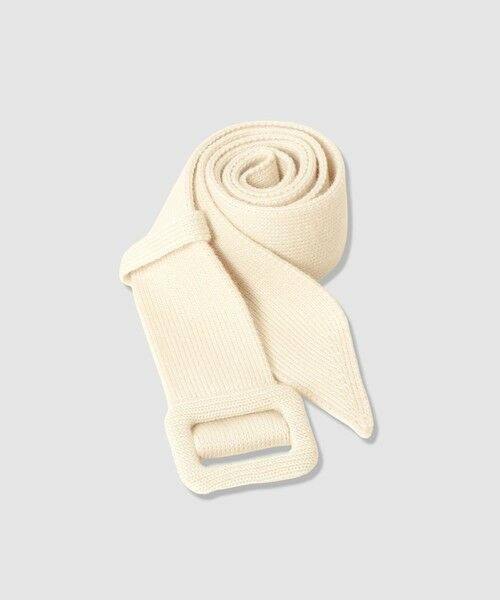 ANAYI / アナイ ミニ丈・ひざ丈ワンピース | グログランコンビベルト付き ワンピース | 詳細9