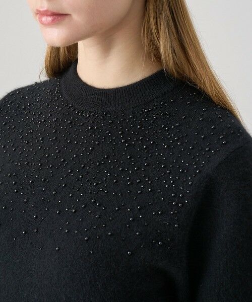 ANAYI / アナイ ニット・セーター | 【セットアップ対応商品】リップルビーズ プルオーバー | 詳細28