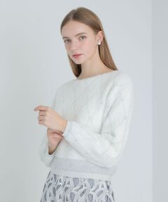 ANAYI / アナイ ニット・セーター | フェザージャガードビジュー プルオーバー