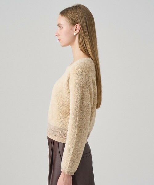 ANAYI / アナイ ニット・セーター | フェザージャガードビジュー プルオーバー | 詳細10