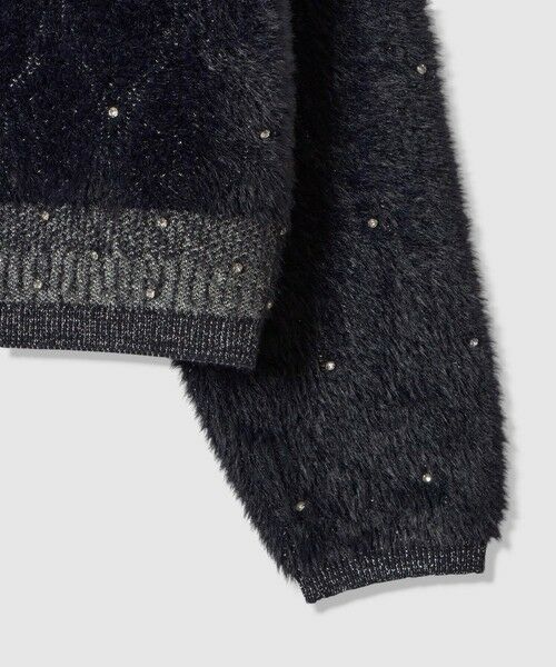 ANAYI / アナイ ニット・セーター | フェザージャガードビジュー プルオーバー | 詳細24