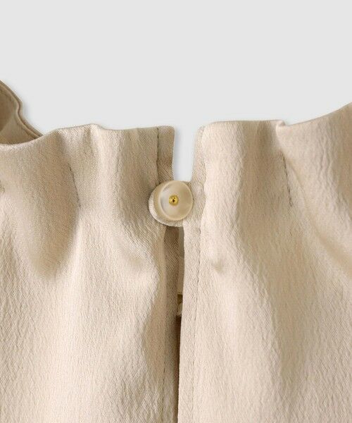 ANAYI / アナイ シャツ・ブラウス | ハンマーサテンスタンド ブラウス | 詳細8