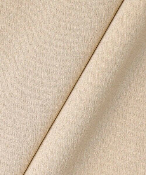 ANAYI / アナイ シャツ・ブラウス | ハンマーサテンスタンド ブラウス | 詳細9