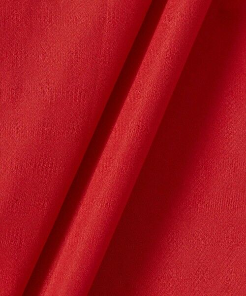 ANAYI / アナイ ロング・マキシ丈ワンピース | タフタハイネックAライン ワンピース | 詳細12