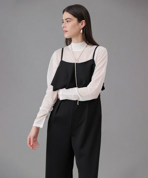 ANAYI / アナイ ニット・セーター | シアーハイネック プルオーバー | 詳細2