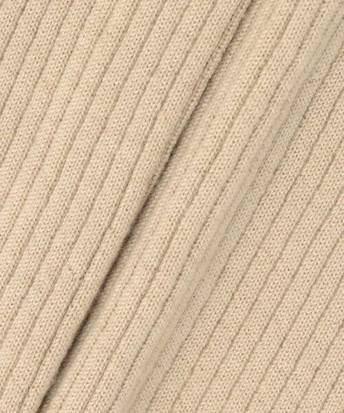 ANAYI / アナイ ニット・セーター | メリノワイドリブハイネック プルオーバー | 詳細17
