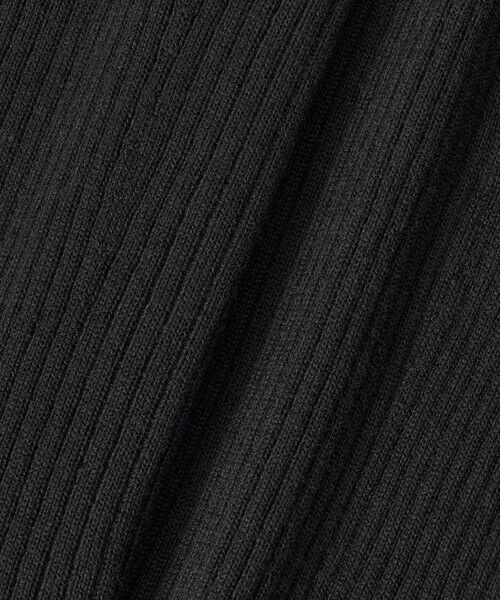 ANAYI / アナイ ニット・セーター | メリノワイドリブハイネック プルオーバー | 詳細28