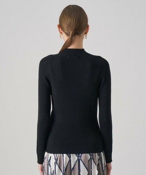 ANAYI / アナイ ニット・セーター | メリノワイドリブハイネック プルオーバー | 詳細20