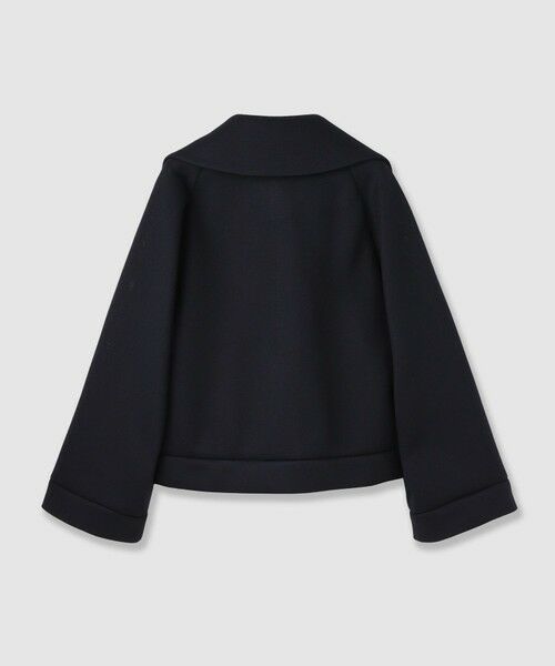 ANAYI / アナイ その他アウター | メッシュダンボールボクシーブルゾン | 詳細25