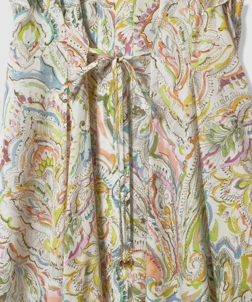 ANAYI / アナイ ロング・マキシ丈ワンピース | ペイントペイズリープリントフレア ワンピース | 詳細12