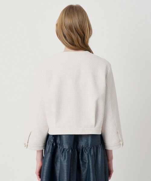 ANAYI / アナイ ノーカラージャケット | 【セットアップ対象商品】ドビーツイードノーカラーブルゾン | 詳細5