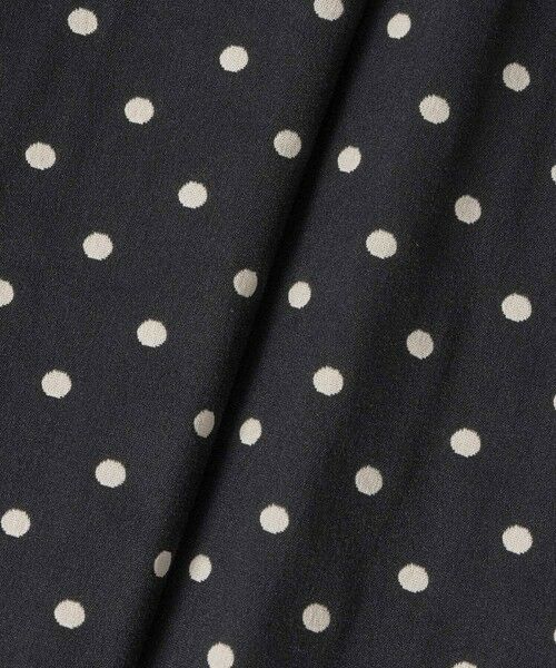 ANAYI / アナイ ロング・マキシ丈ワンピース | モノトーンドットジャガードフレア ワンピース | 詳細18