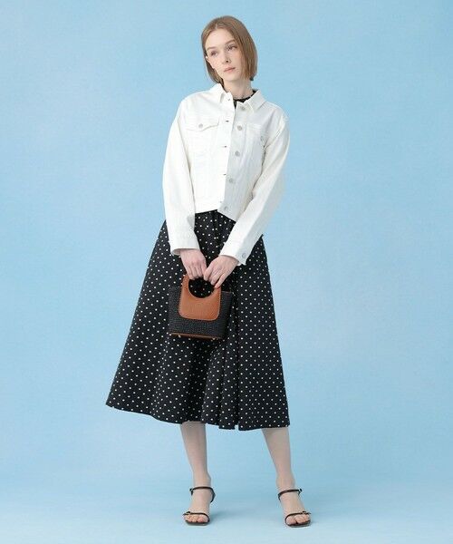 ANAYI / アナイ ロング・マキシ丈ワンピース | モノトーンドットジャガードフレア ワンピース | 詳細15