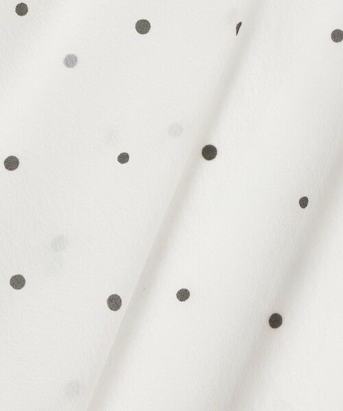 ANAYI / アナイ ロング・マキシ丈スカート | オーガンジードットプリントプリーツ スカート | 詳細8