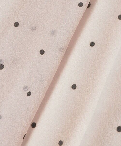 ANAYI / アナイ ロング・マキシ丈スカート | オーガンジードットプリントプリーツ スカート | 詳細15