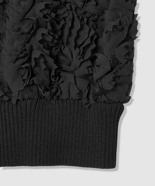 ANAYI / アナイ その他トップス | テープエンブロイダリーリブ ブラウス | 詳細10