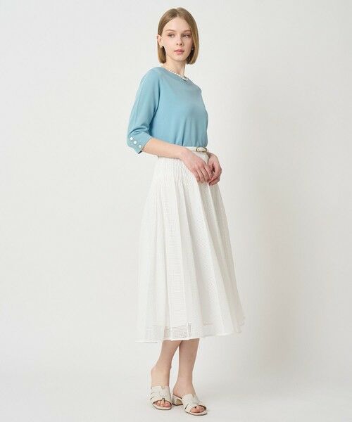 ANAYI / アナイ ロング・マキシ丈スカート | メッシュラッセルプリーツ スカート〈セットアップ対応商品〉 | 詳細10