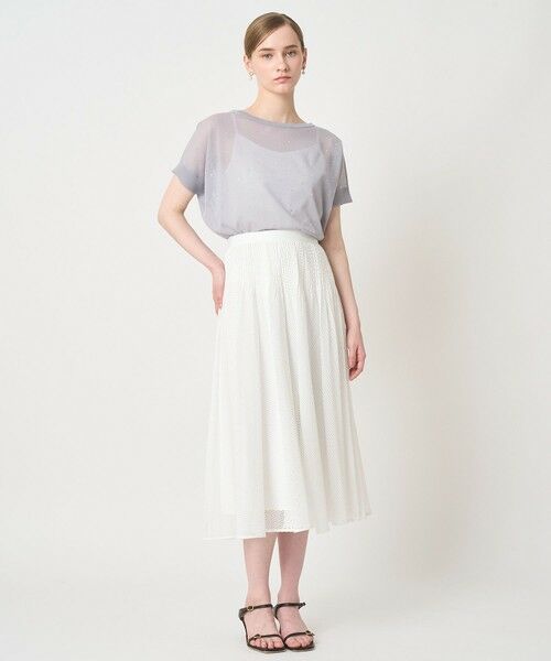 ANAYI / アナイ ロング・マキシ丈スカート | メッシュラッセルプリーツ スカート〈セットアップ対応商品〉 | 詳細12