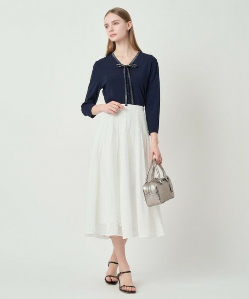 ANAYI / アナイ ロング・マキシ丈スカート | メッシュラッセルプリーツ スカート〈セットアップ対応商品〉 | 詳細7
