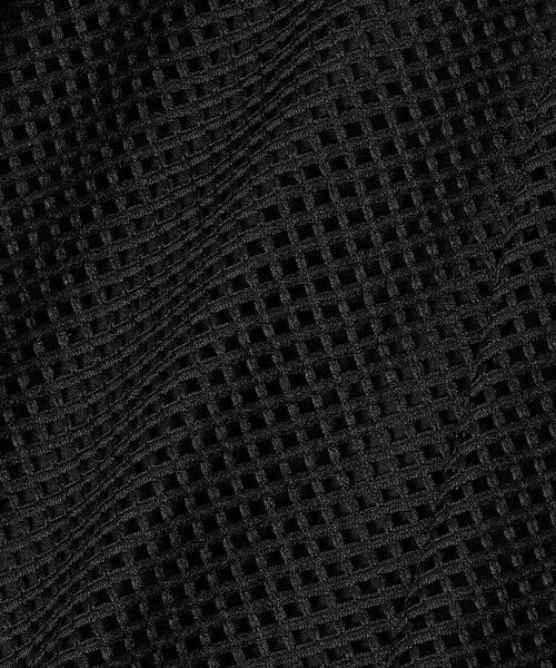 ANAYI / アナイ ロング・マキシ丈スカート | 【セットアップ対応商品】メッシュラッセルプリーツ スカート | 詳細16