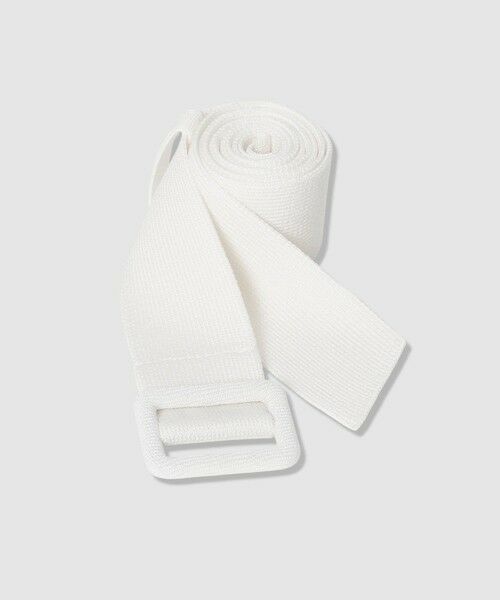 ANAYI / アナイ ミニ丈・ひざ丈ワンピース | シアーラインボーダーベルト付きワンピース | 詳細3