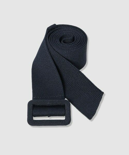 ANAYI / アナイ ミニ丈・ひざ丈ワンピース | シアーラインボーダーベルト付きワンピース | 詳細23