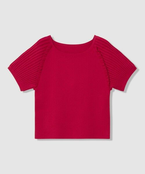 ANAYI / アナイ ニット・セーター | プチフリルスリーブ プルオーバー(pink (41))