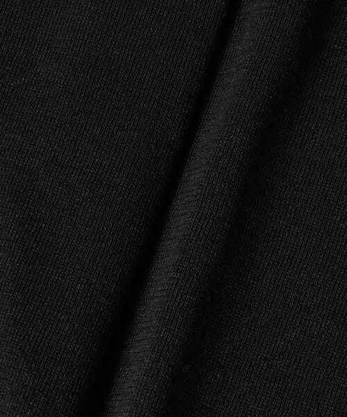 ANAYI / アナイ ニット・セーター | レースラインコットンナイロンクループルオーバー | 詳細12