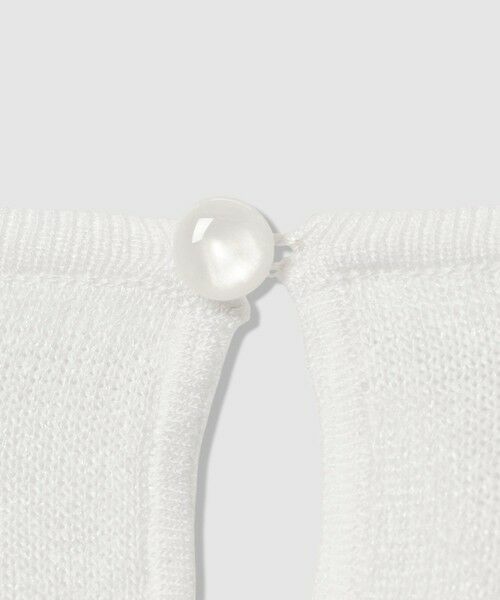 ANAYI / アナイ ニット・セーター | シアー天竺クルーネック プルオーバー | 詳細2